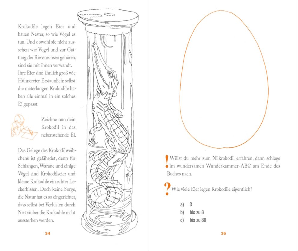 Beispieldoppelseite aus der Publikation »Das fliegende Krokodil« u.a. zum Ausmalen.