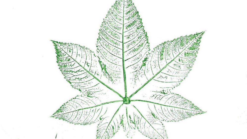 Ein im Herbst gesammeltes Blatt wurde mit Farbe bedruckt und kreativ als Blattabdruck auf Papier gestaltet