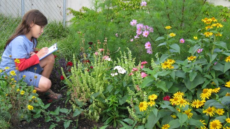 A girl in a blooming flower bed attentively observes a plant, taking notes on paper with a pencil