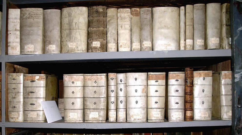 Eine Detailaufnahme von einigen Büchern in einem Bibliotheksschrank.